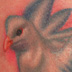 Tattoos - Dove - 46557